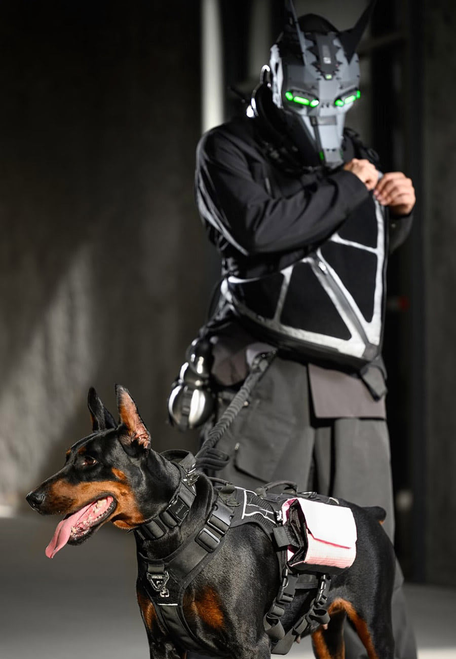 Anubis Mecha Mask